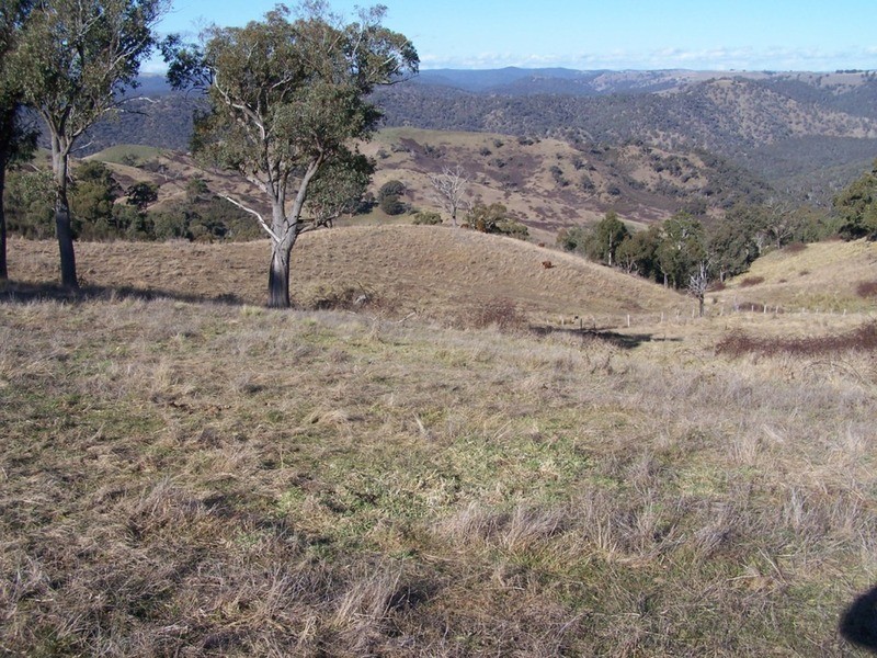 64 Hadley Way, Fullerton NSW 2583