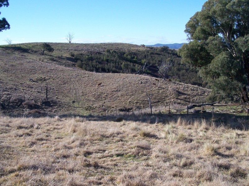 64 Hadley Way, Fullerton NSW 2583