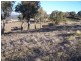 64 Hadley Way, Fullerton NSW 2583