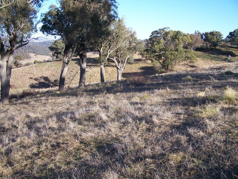 64 Hadley Way, Fullerton NSW 2583