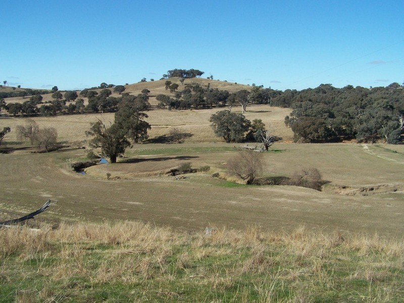 2076 Taylors Flat Road, Boorowa NSW 2586