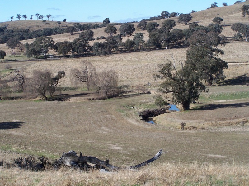 2076 Taylors Flat Road, Boorowa NSW 2586