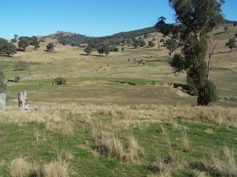 2076 Taylors Flat Road, Boorowa NSW 2586