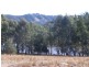 “JINGARA”  1109  Foggs Crossing Road, Bigga NSW 2583