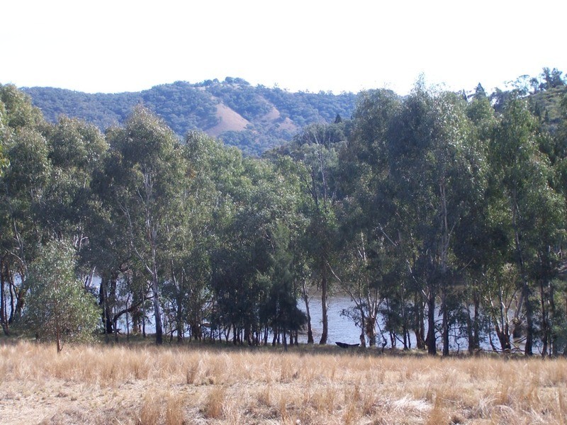 “JINGARA”  1109  Foggs Crossing Road, Bigga NSW 2583