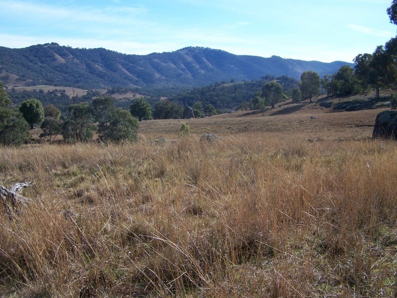 “JINGARA”  1109  Foggs Crossing Road, Bigga NSW 2583