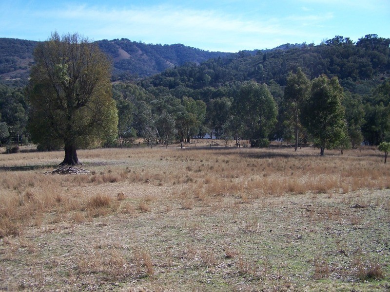 “JINGARA”  1109  Foggs Crossing Road, Bigga NSW 2583