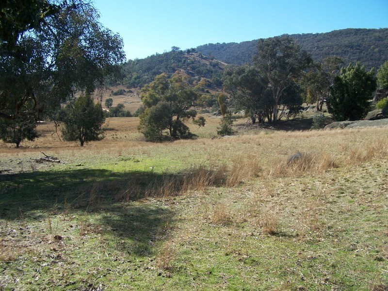 “JINGARA”  1109  Foggs Crossing Road, Bigga NSW 2583