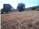 “JINGARA”  1109  Foggs Crossing Road, Bigga NSW 2583