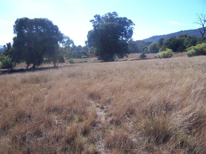 “JINGARA”  1109  Foggs Crossing Road, Bigga NSW 2583
