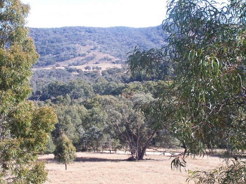 “JINGARA”  1109  Foggs Crossing Road, Bigga NSW 2583