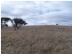 69 Mt Baw Baw Road, Goulburn NSW 2580