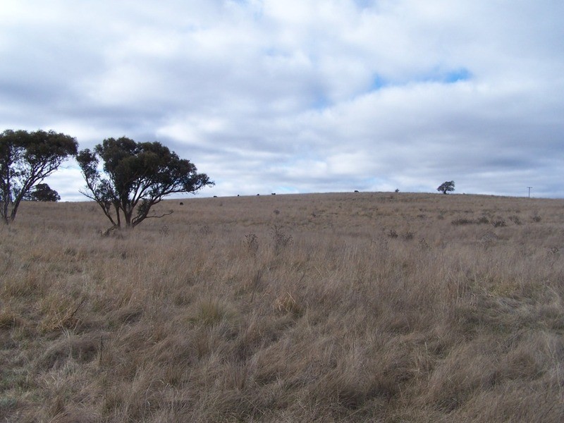 69 Mt Baw Baw Road, Goulburn NSW 2580
