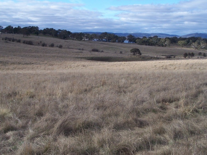 69 Mt Baw Baw Road, Goulburn NSW 2580