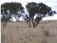 69 Mt Baw Baw Road, Goulburn NSW 2580