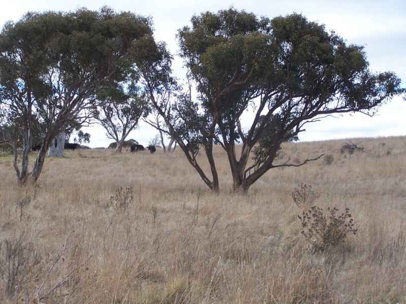 69 Mt Baw Baw Road, Goulburn NSW 2580