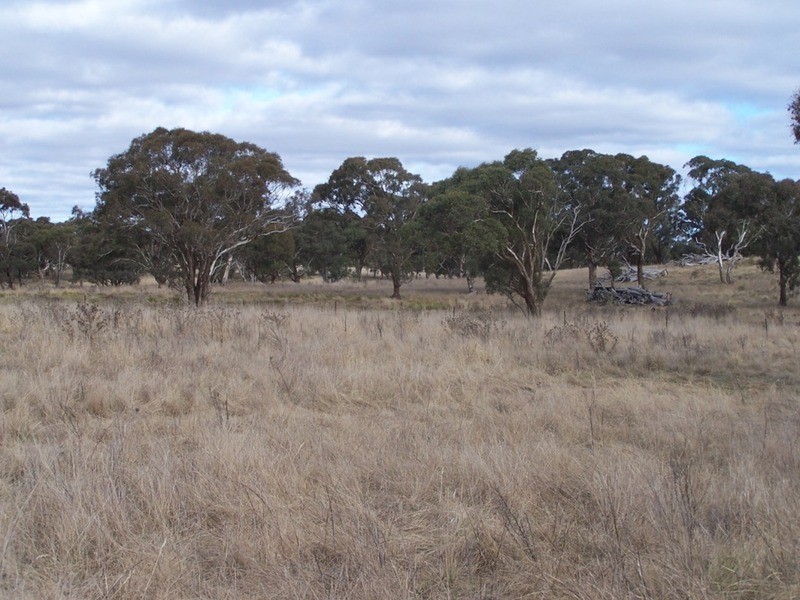 69 Mt Baw Baw Road, Goulburn NSW 2580
