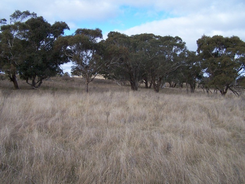 69 Mt Baw Baw Road, Goulburn NSW 2580