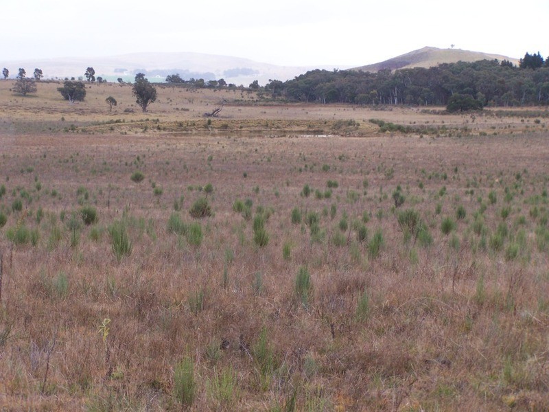 283 Annies Lane, Woodhouselee NSW 2580