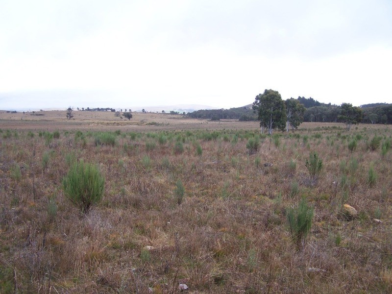 283 Annies Lane, Woodhouselee NSW 2580