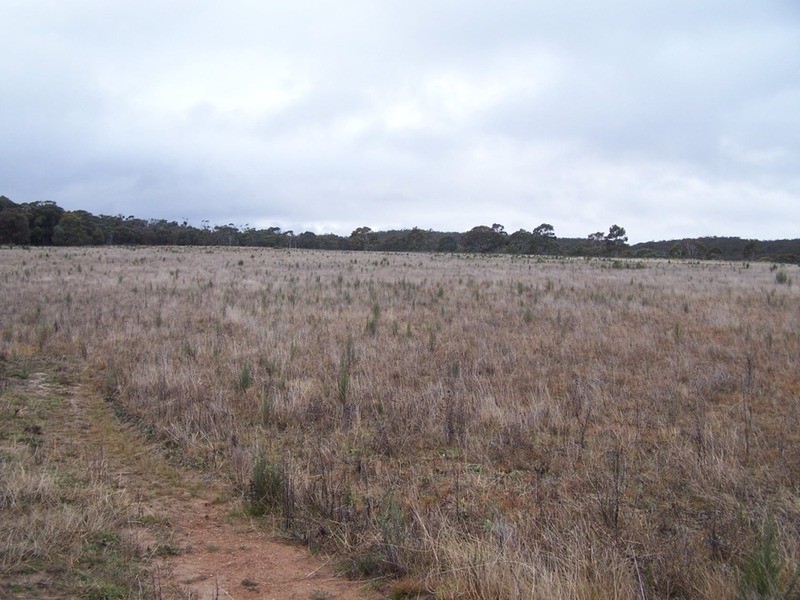 283 Annies Lane, Woodhouselee NSW 2580