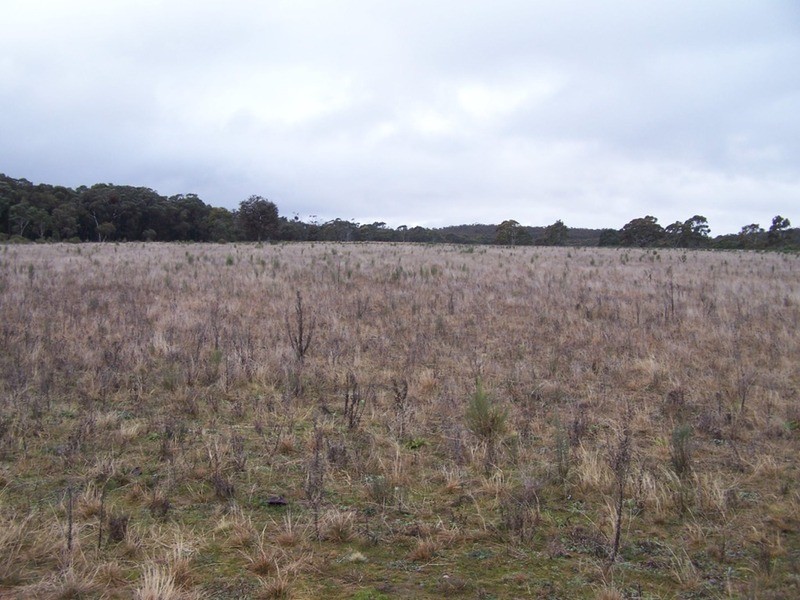 283 Annies Lane, Woodhouselee NSW 2580