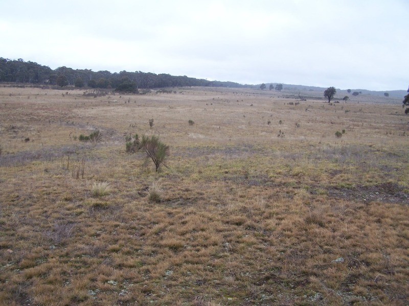 283 Annies Lane, Woodhouselee NSW 2580