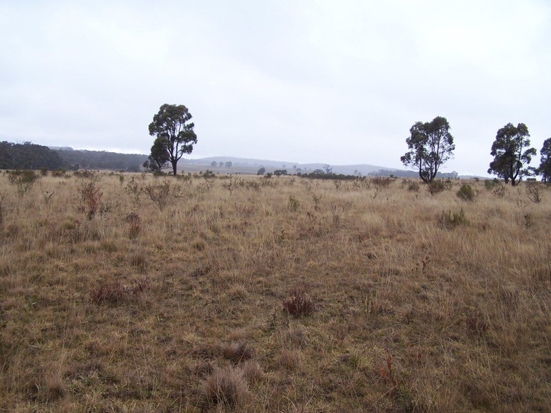 283 Annies Lane, Woodhouselee NSW 2580