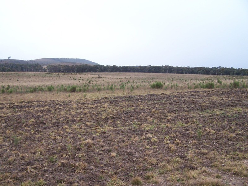 283 Annies Lane, Woodhouselee NSW 2580