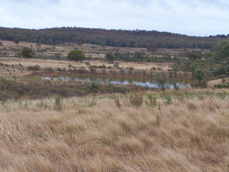 Lot 7/285 Annies Lane, Woodhouselee NSW 2580