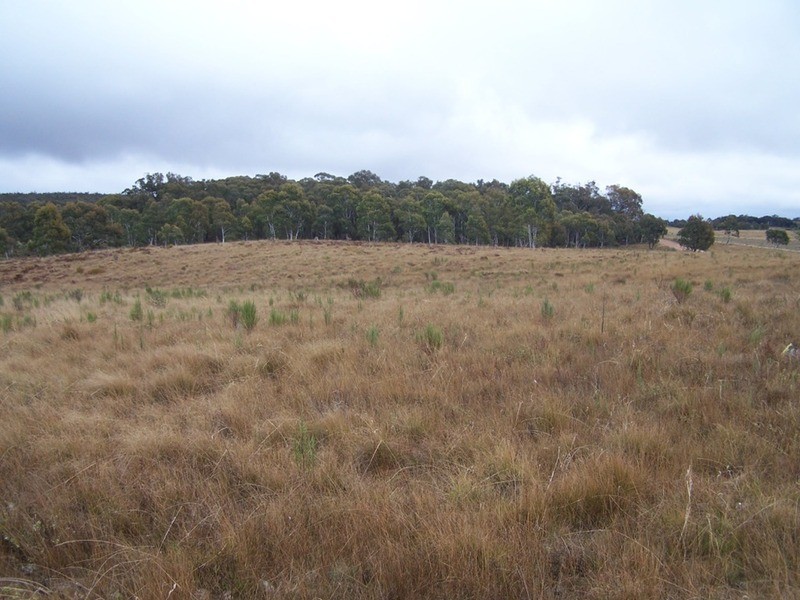 Lot 7/285 Annies Lane, Woodhouselee NSW 2580