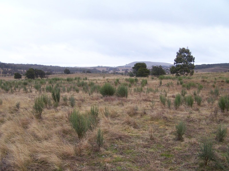 Lot 7/285 Annies Lane, Woodhouselee NSW 2580