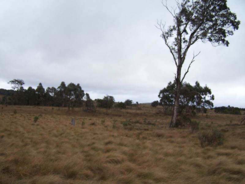 Lot 7/285 Annies Lane, Woodhouselee NSW 2580