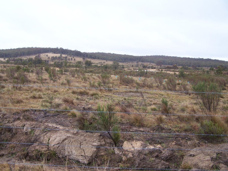 Lot 7/285 Annies Lane, Woodhouselee NSW 2580