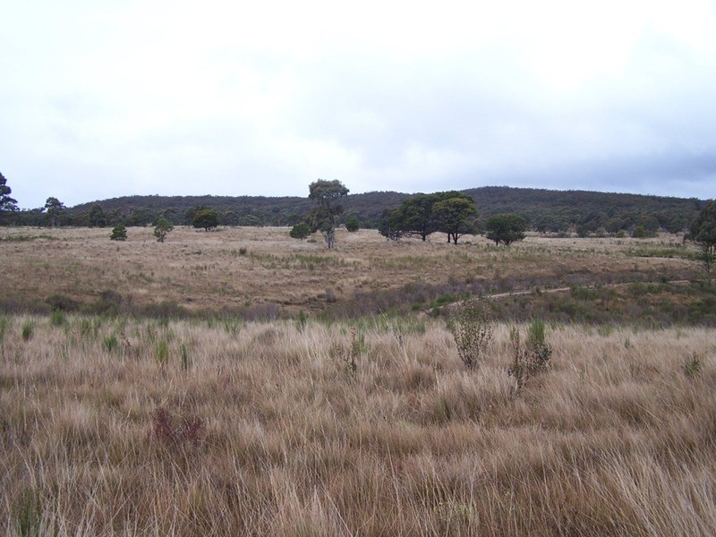 Lot 7/285 Annies Lane, Woodhouselee NSW 2580