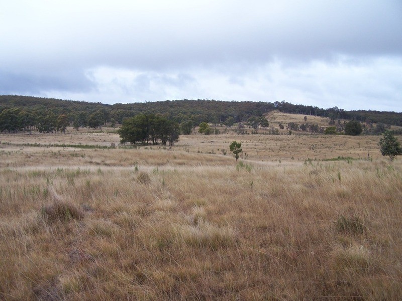 Lot 7/285 Annies Lane, Woodhouselee NSW 2580