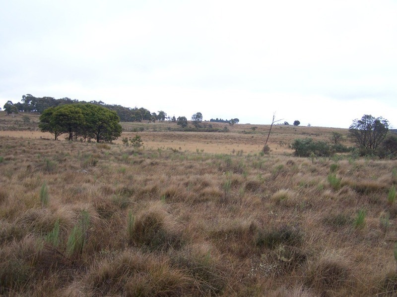 Lot 7/285 Annies Lane, Woodhouselee NSW 2580