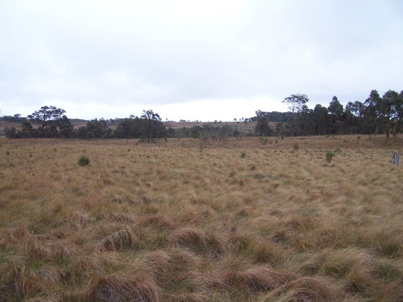 Lot 7/285 Annies Lane, Woodhouselee NSW 2580