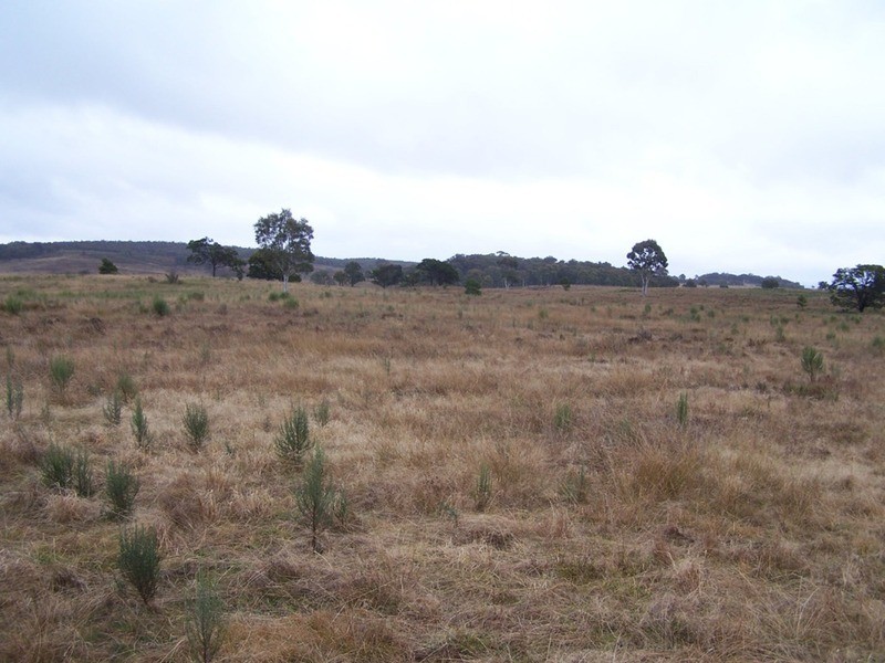 Lot 7/285 Annies Lane, Woodhouselee NSW 2580