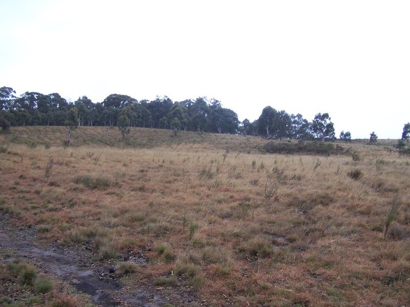 Lot 7/285 Annies Lane, Woodhouselee NSW 2580