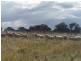 330 Gap Road, Parkesbourne NSW 2580