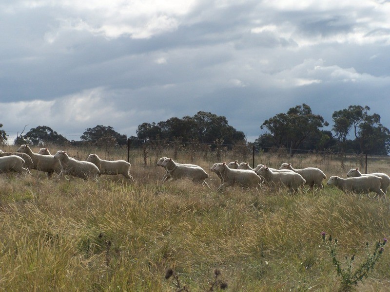 330 Gap Road, Parkesbourne NSW 2580