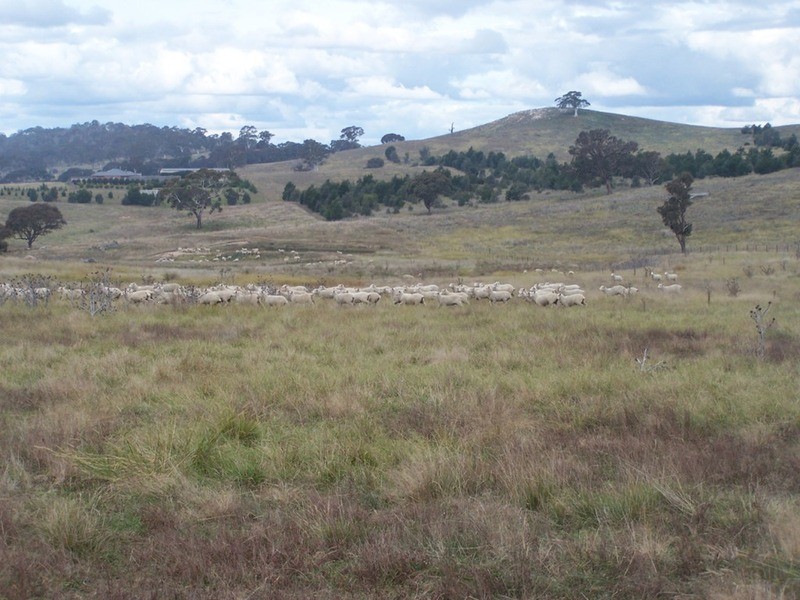330 Gap Road, Parkesbourne NSW 2580