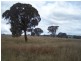 330 Gap Road, Parkesbourne NSW 2580