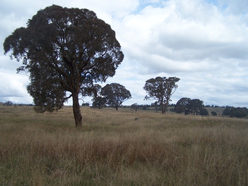 330 Gap Road, Parkesbourne NSW 2580