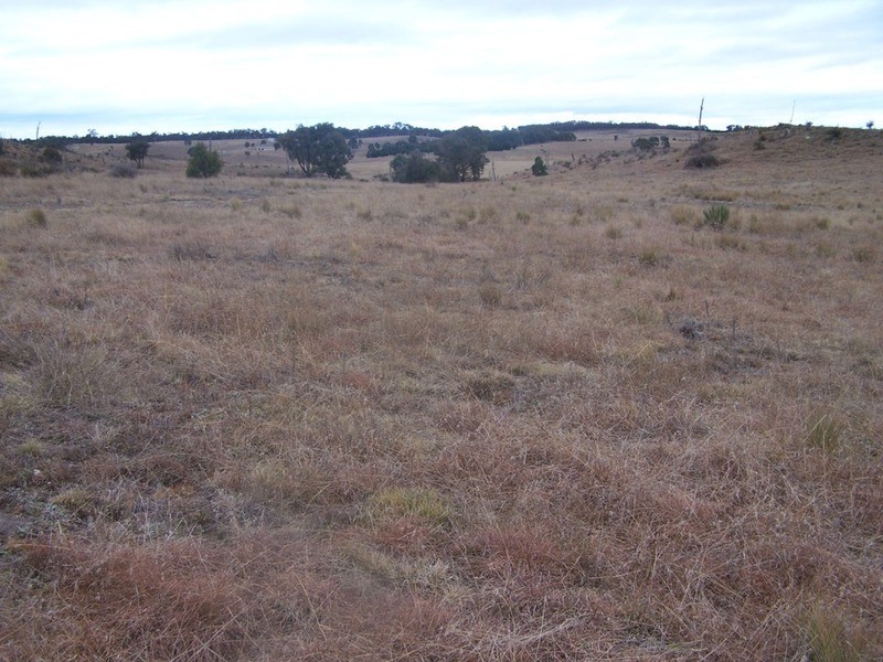 243 Off Oallen Ford Road, Windellama NSW 2580