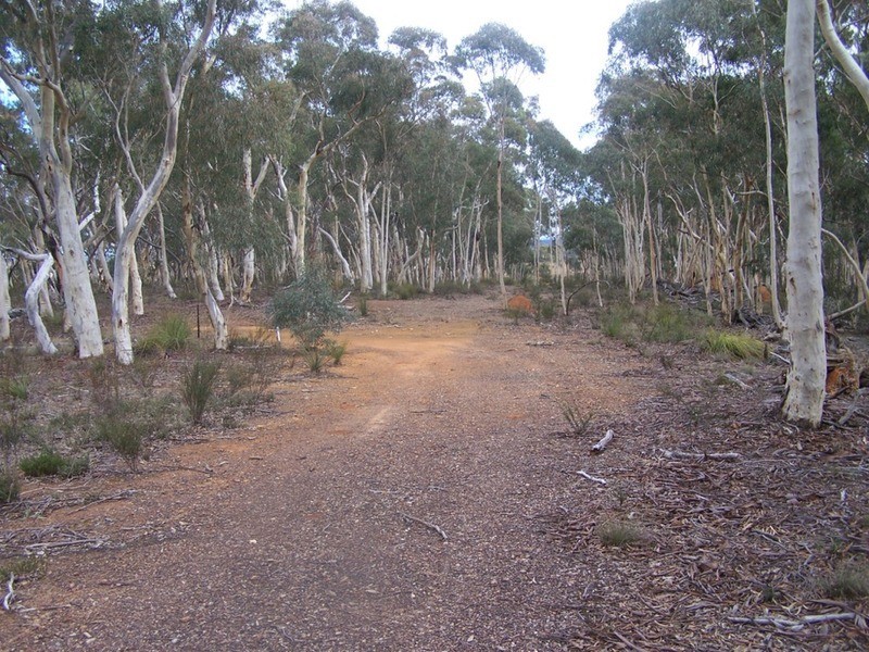 243 Off Oallen Ford Road, Windellama NSW 2580