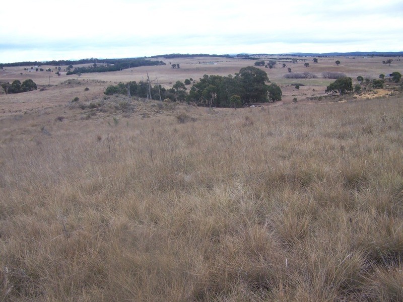 243 Off Oallen Ford Road, Windellama NSW 2580