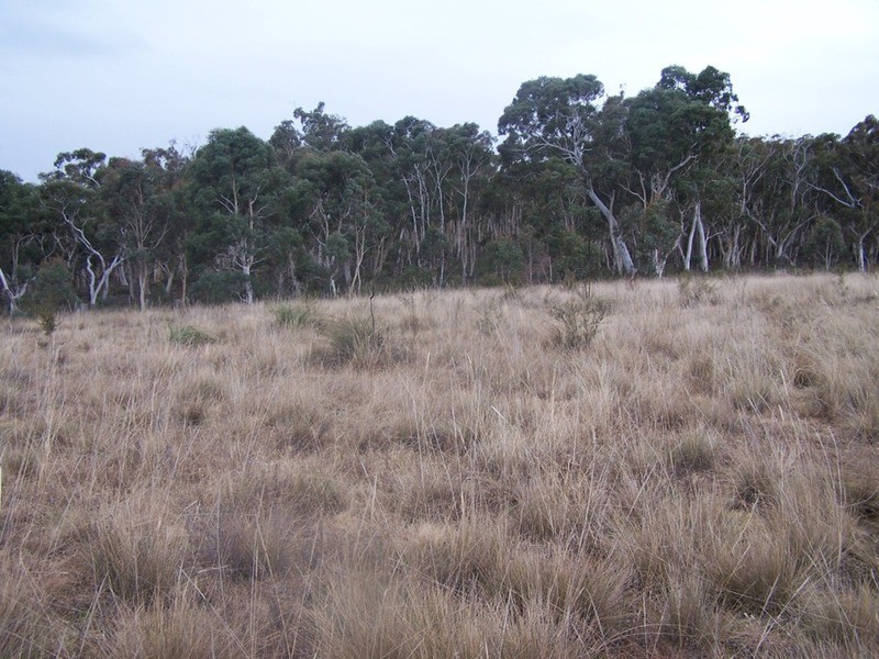 243 Off Oallen Ford Road, Windellama NSW 2580