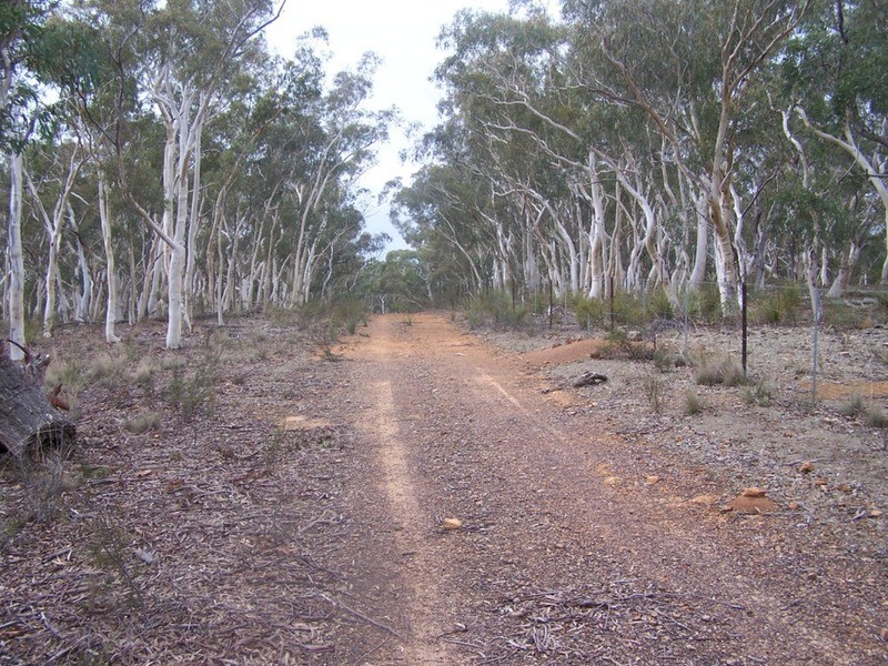 243 Off Oallen Ford Road, Windellama NSW 2580